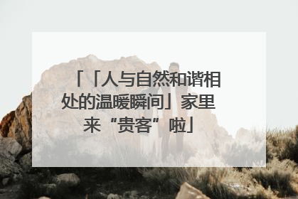 「人与自然和谐相处的温暖瞬间」家里来“贵客”啦