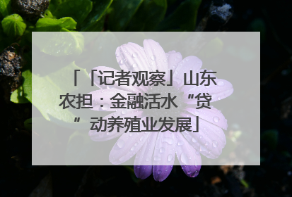 「记者观察」山东农担：金融活水“贷”动养殖业发展