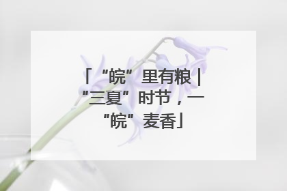 “皖”里有粮｜“三夏”时节，一“皖”麦香