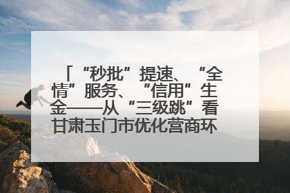 “秒批”提速、“全情”服务、“信用”生金——从“三级跳”看甘肃玉门市优化营商环境的进阶之路