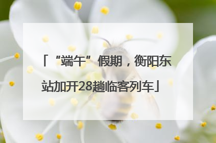 “端午”假期，衡阳东站加开28趟临客列车