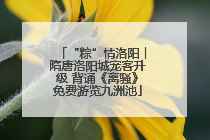 “粽”情洛阳丨隋唐洛阳城宠客升级 背诵《离骚》免费游览九洲池