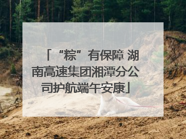 “粽”有保障 湖南高速集团湘潭分公司护航端午安康