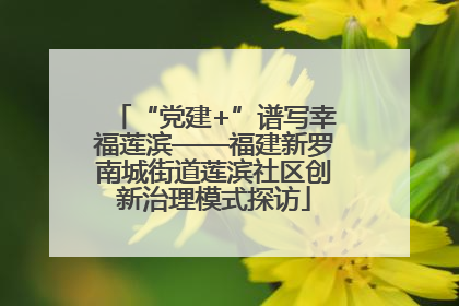 “党建+”谱写幸福莲滨——福建新罗南城街道莲滨社区创新治理模式探访
