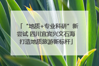 “地质+专业科研”新尝试 四川宜宾兴文石海打造地质旅游新标杆