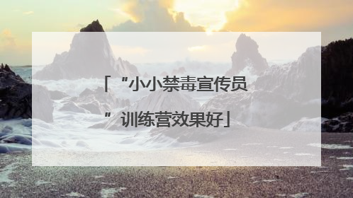 “小小禁毒宣传员”训练营效果好