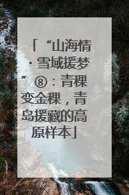 “山海情・雪域援梦”⑧：青稞变金稞，青岛援藏的高原样本