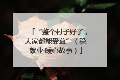 “整个村子好了，大家都能受益”（稳就业·暖心故事）