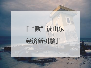 “数”读山东经济新引擎