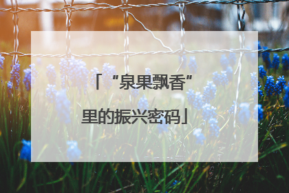 “泉果飘香”里的振兴密码