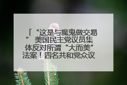 “这是与魔鬼做交易” 美国民主党议员集体反对所谓“大而美”法案！四名共和党众议员投反对票