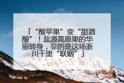“酸苹果”变“甜酒酿”！盐源高原果的华丽转身，靠的是这场浙川千里“联姻”