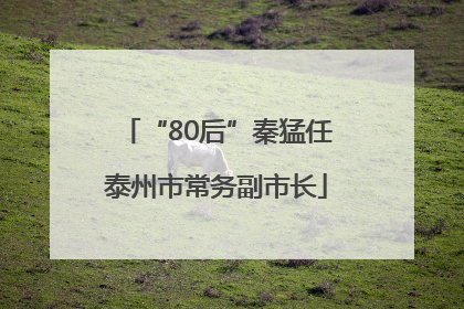 “80后”秦猛任泰州市常务副市长