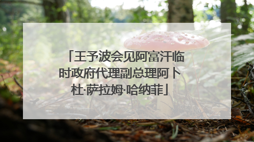 王予波会见阿富汗临时政府代理副总理阿卜杜·萨拉姆·哈纳菲