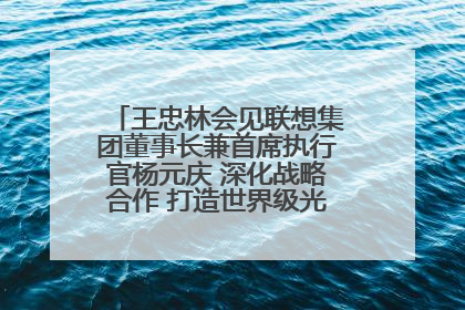 王忠林会见联想集团董事长兼首席执行官杨元庆 深化战略合作 打造世界级光电子信息产业集群