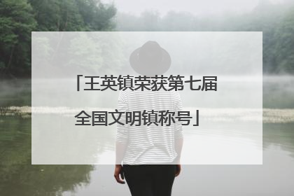 王英镇荣获第七届全国文明镇称号