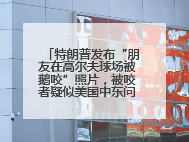 特朗普发布“朋友在高尔夫球场被鹅咬”照片，被咬者疑似美国中东问题特使