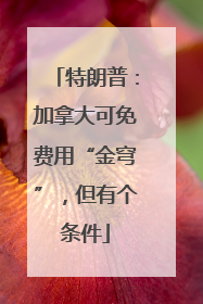 特朗普：加拿大可免费用“金穹”，但有个条件