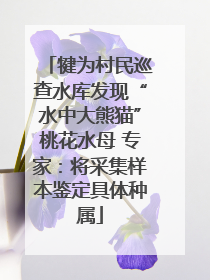 犍为村民巡查水库发现“水中大熊猫”桃花水母 专家：将采集样本鉴定具体种属
