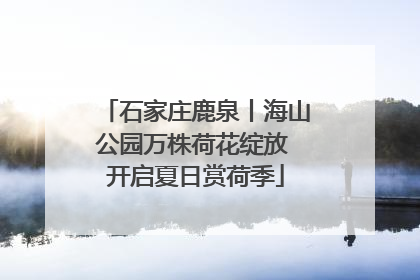 石家庄鹿泉丨海山公园万株荷花绽放 开启夏日赏荷季