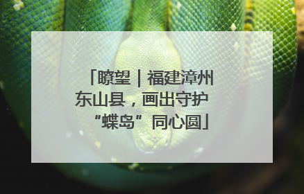 瞭望｜福建漳州东山县，画出守护“蝶岛”同心圆