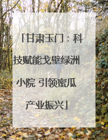 甘肃玉门：科技赋能戈壁绿洲小院 引领蜜瓜产业振兴