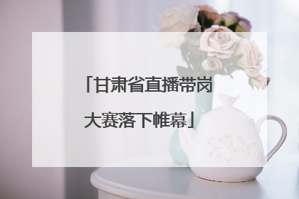 甘肃省直播带岗大赛落下帷幕