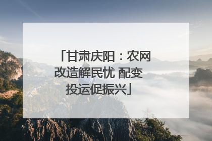 甘肃庆阳：农网改造解民忧 配变投运促振兴