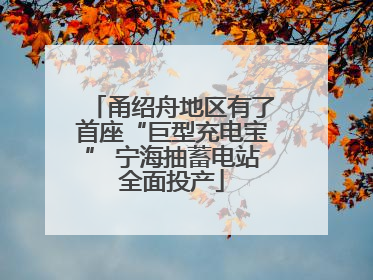 甬绍舟地区有了首座“巨型充电宝” 宁海抽蓄电站全面投产