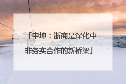 申坤：浙商是深化中非务实合作的新桥梁