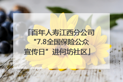百年人寿江西分公司“7.8全国保险公众宣传日”进何坊社区