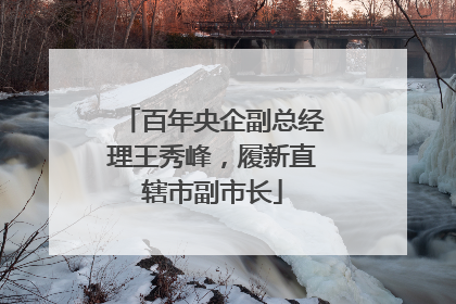 百年央企副总经理王秀峰，履新直辖市副市长