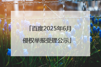百度2025年6月侵权举报受理公示