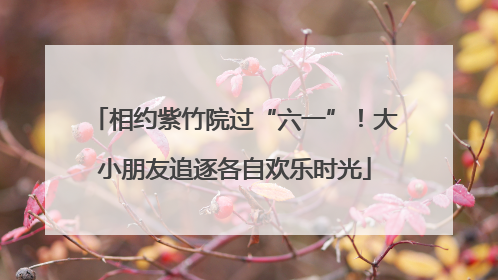 相约紫竹院过“六一”！大小朋友追逐各自欢乐时光