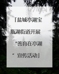 盐城亭湖宝瓶湖街道开展“善育在亭湖”宣传活动