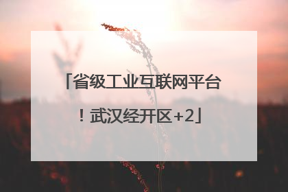 省级工业互联网平台！武汉经开区+2