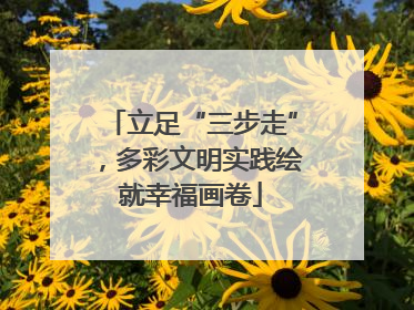 立足“三步走”，多彩文明实践绘就幸福画卷