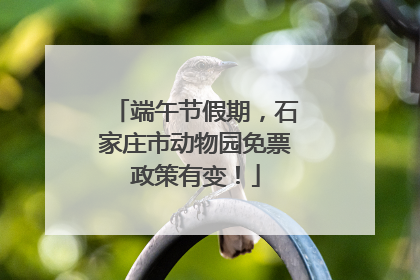 端午节假期，石家庄市动物园免票政策有变！