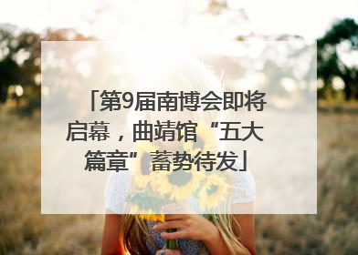 第9届南博会即将启幕，曲靖馆“五大篇章”蓄势待发