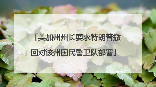美加州州长要求特朗普撤回对该州国民警卫队部署