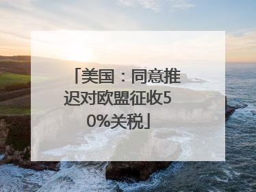 美国：同意推迟对欧盟征收50%关税