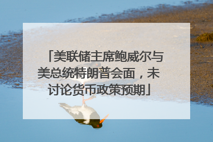 美联储主席鲍威尔与美总统特朗普会面，未讨论货币政策预期