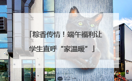 粽香传情！端午福利让学生直呼“家温暖”