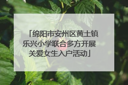 绵阳市安州区黄土镇乐兴小学联合多方开展关爱女生入户活动