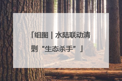 组图｜水陆联动清剿“生态杀手”