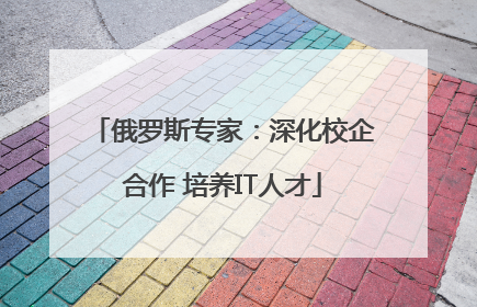 俄罗斯专家：深化校企合作 培养IT人才