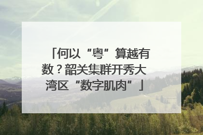 何以“粤”算越有数？韶关集群开秀大湾区“数字肌肉”