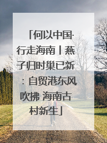 何以中国·行走海南丨燕子归时巢已新：自贸港东风吹拂 海南古村新生
