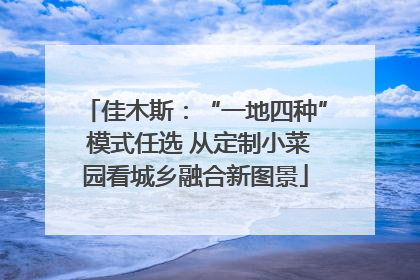 佳木斯：“一地四种” 模式任选 从定制小菜园看城乡融合新图景