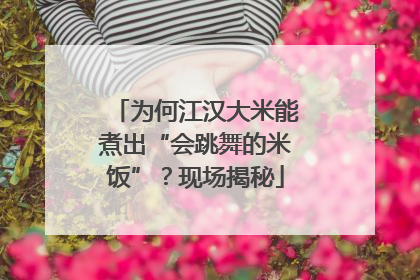 为何江汉大米能煮出“会跳舞的米饭”？现场揭秘
